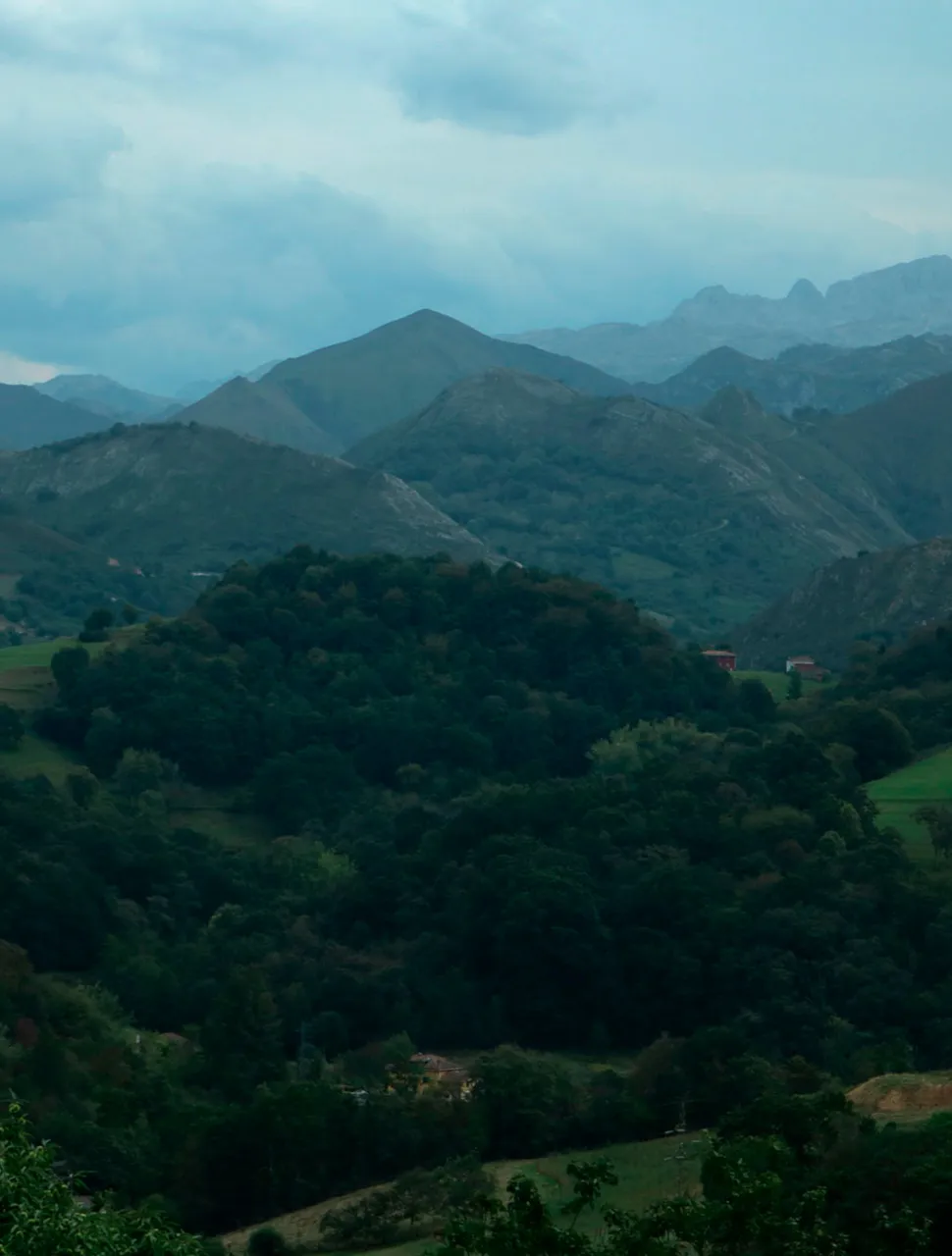 Valle a los pies de los Picos de Europa